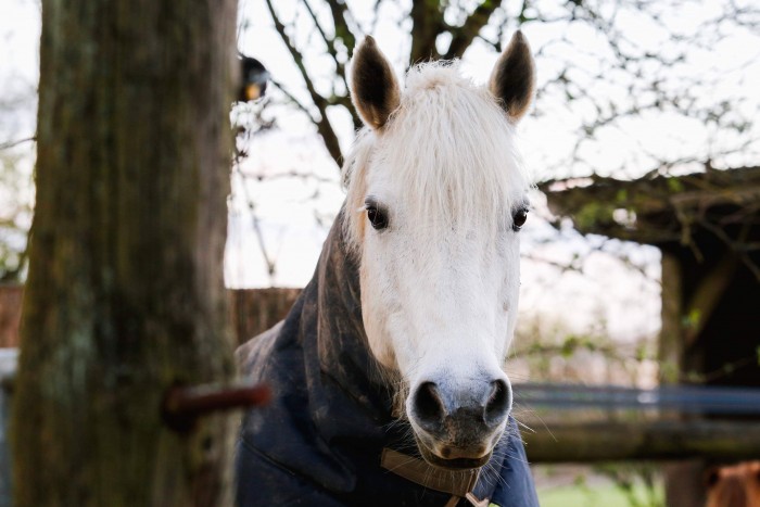 Photo de profil de maryymcd