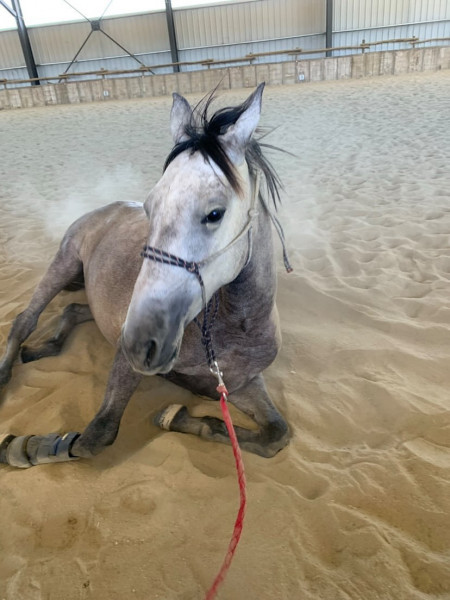 Photo de profil de massimo22