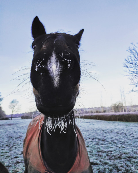 Photo de profil de matandco