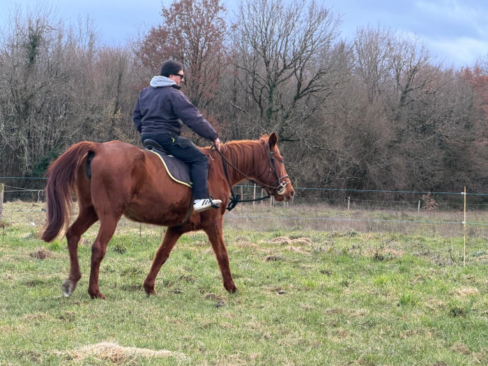 Photo de profil de mathieumorin86