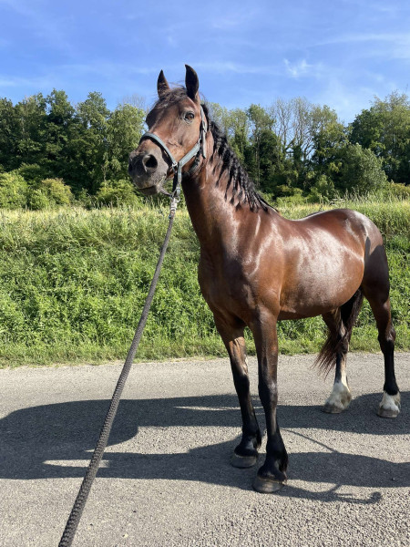 Photo de profil de mathildegrb