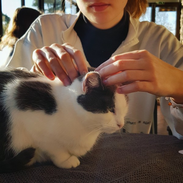 Photo de profil de mathilde.m_oa