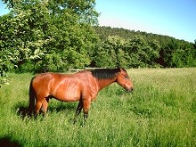 Photo de profil de matt88