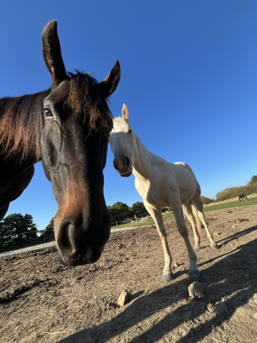 Photo de profil de mattcha22