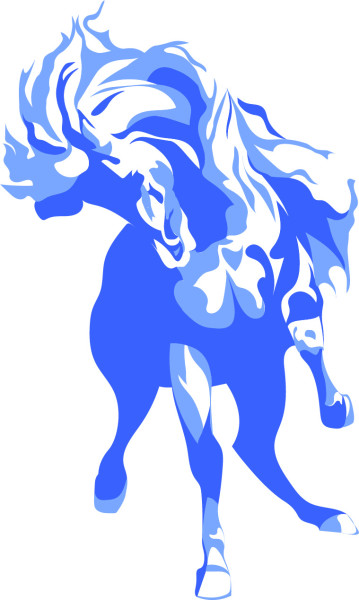 Photo de profil de maud.cavalcades