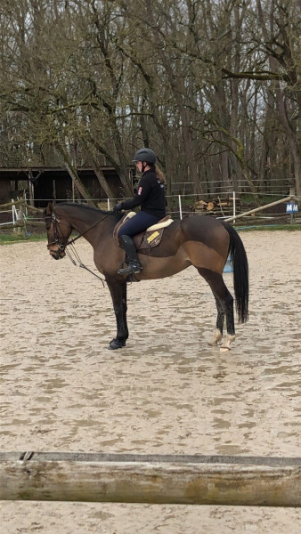 Photo de profil de maud.th