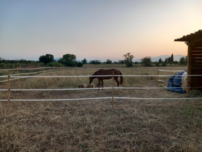 Photo de profil de maya3ans