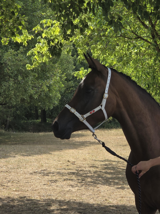 Photo de profil de mayah58