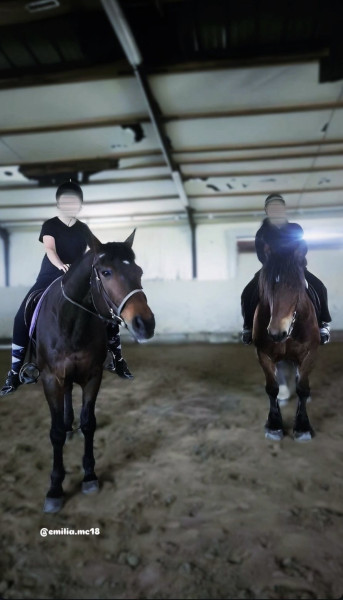 Photo de profil de mays