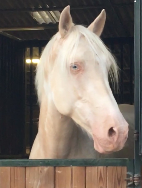 Photo de profil de mcolo