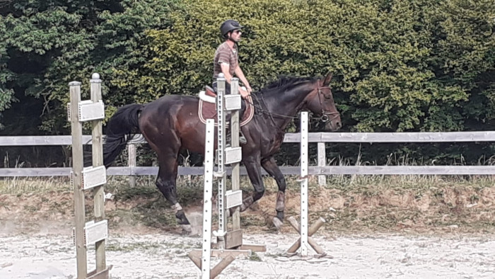 Photo de profil de mdl01