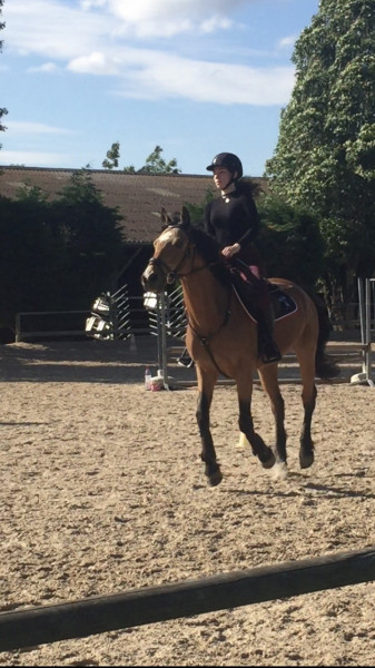 Photo de profil de megagss