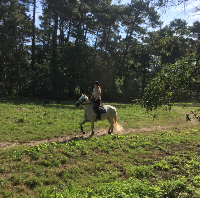 Photo de profil de meggan_v
