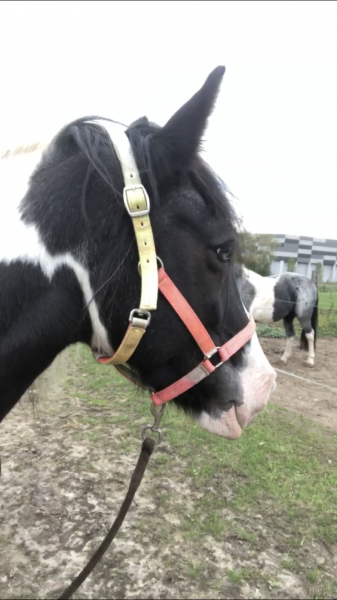 Photo de profil de mel18