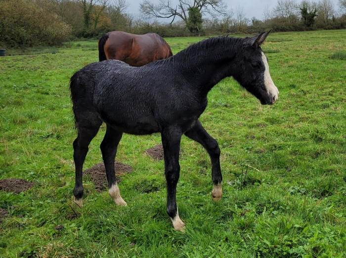 Photo de profil de mel312