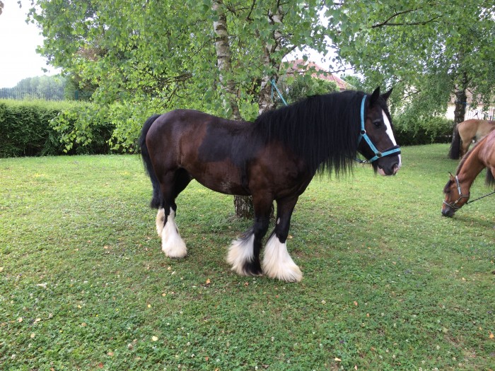 Photo de profil de melanie10