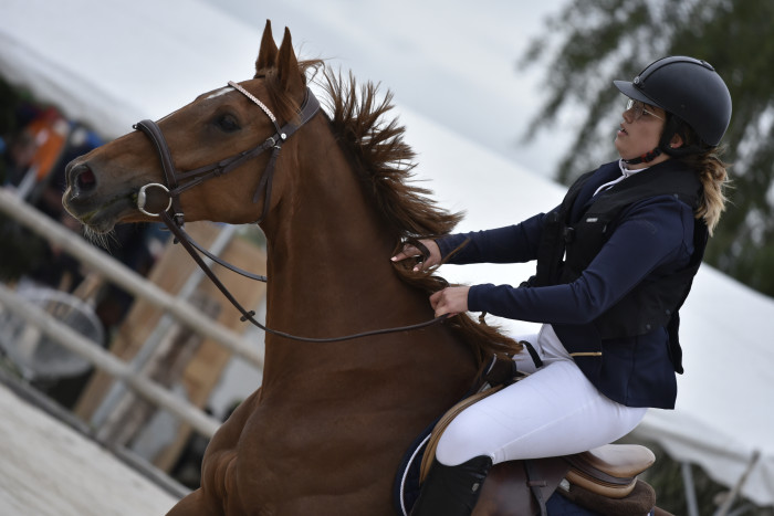 Photo de profil de melanie1804