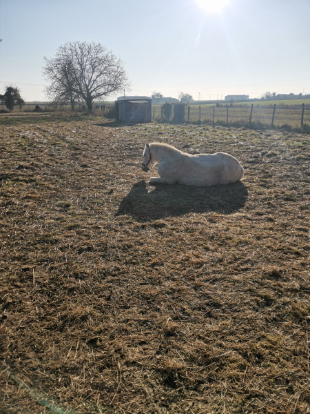 Photo de profil de melanie.crottie