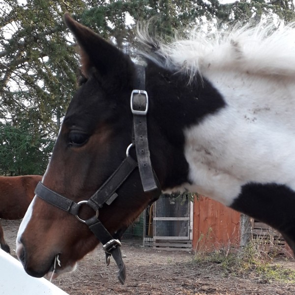 Photo de profil de melbazard