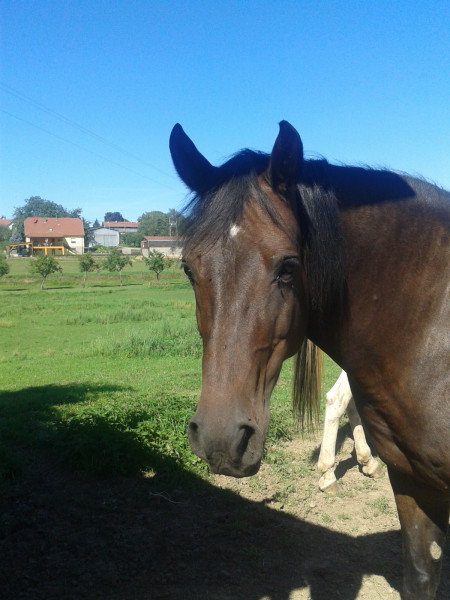 Photo de profil de mel_du67
