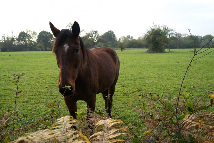 Photo de profil de melimel92