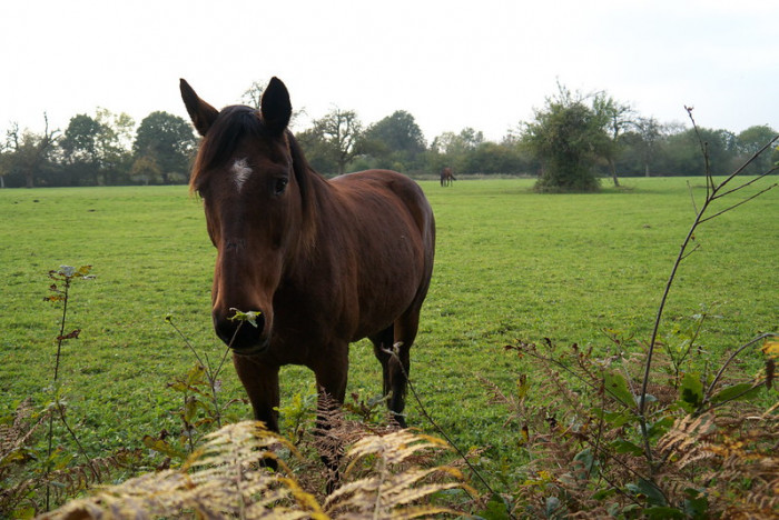 Photo de profil de melimel92