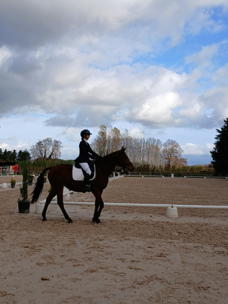 Photo de profil de melina1212