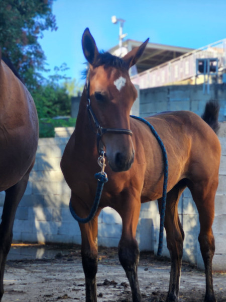 Photo de profil de meliozk