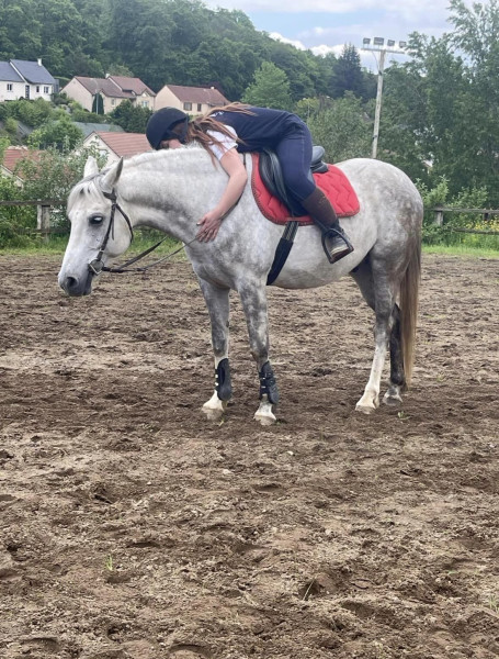 Photo de profil de melissa_eitel