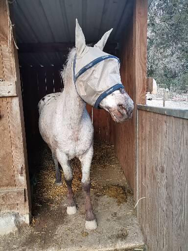 Photo de profil de melouroadster