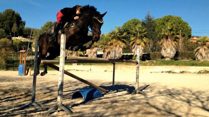 Photo de profil de meloutch