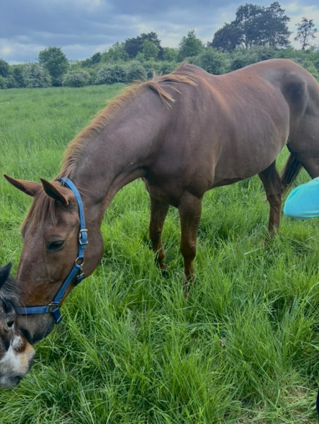 Photo de profil de mel.trr