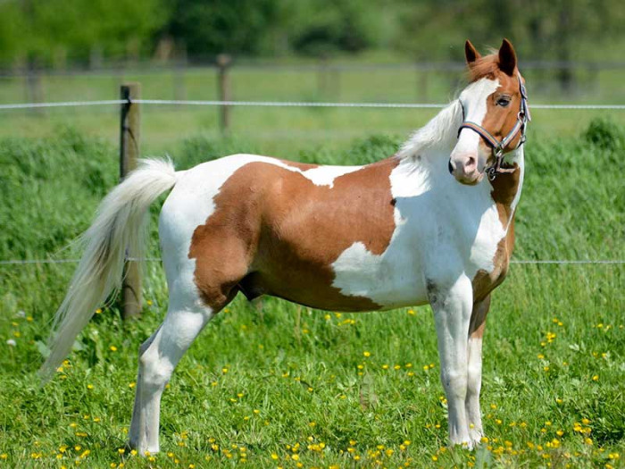 Photo de profil de melyna123