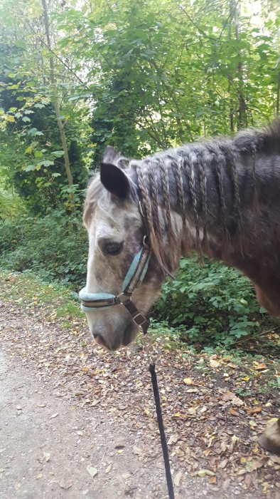 Photo de profil de melyng