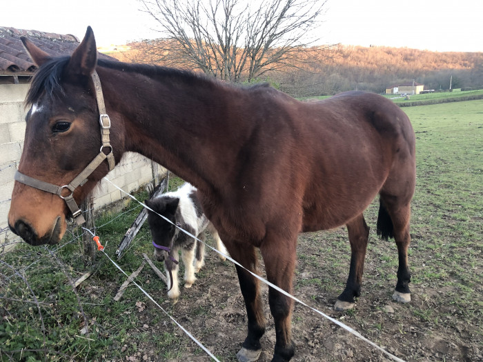 Photo de profil de memene42