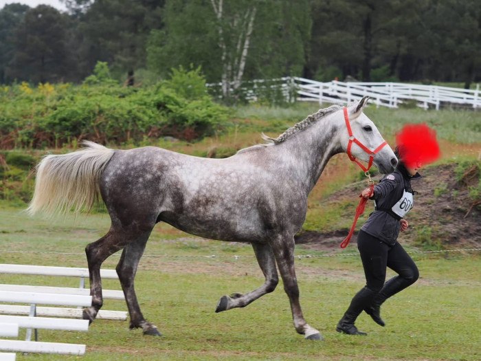 Photo de profil de meneaujc