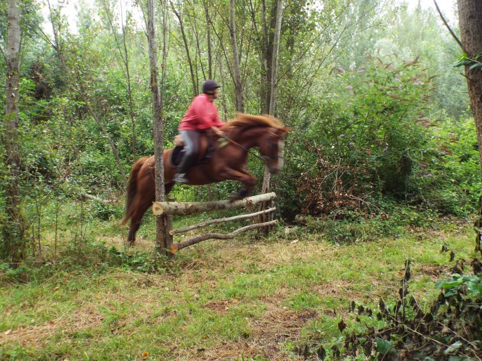 Photo de profil de merens31