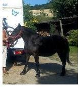 Photo de profil de merou