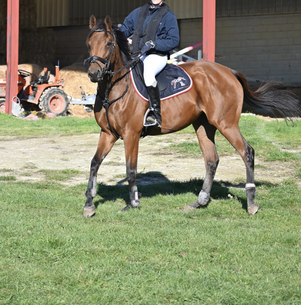 Photo de profil de mguyet