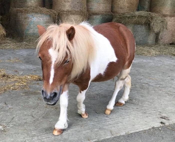 Photo de profil de miche91