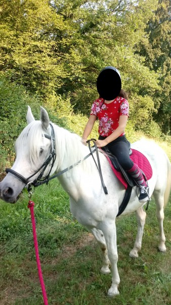 Photo de profil de michel1971