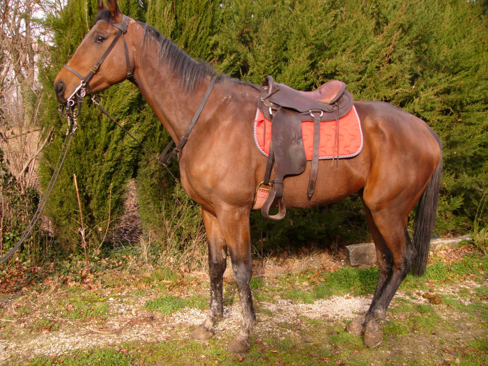 Photo de profil de michelbroye