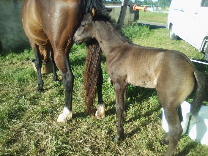 Photo de profil de mika24380