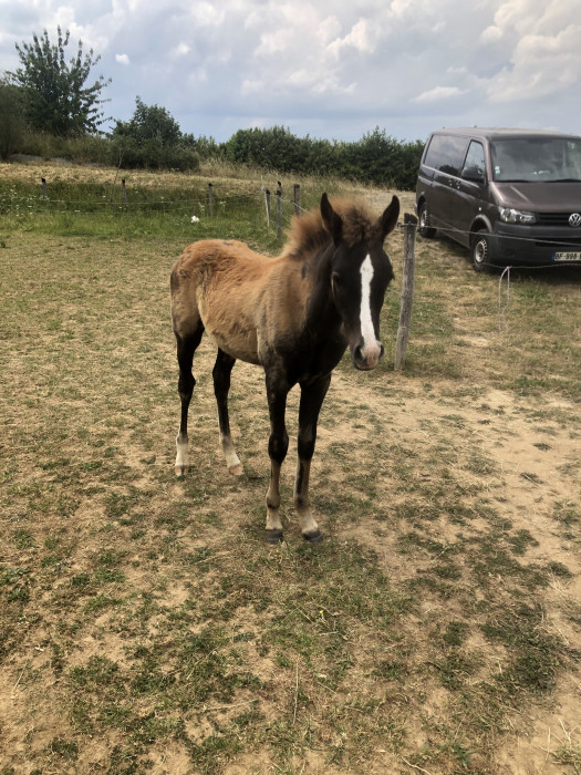 Photo de profil de milahome