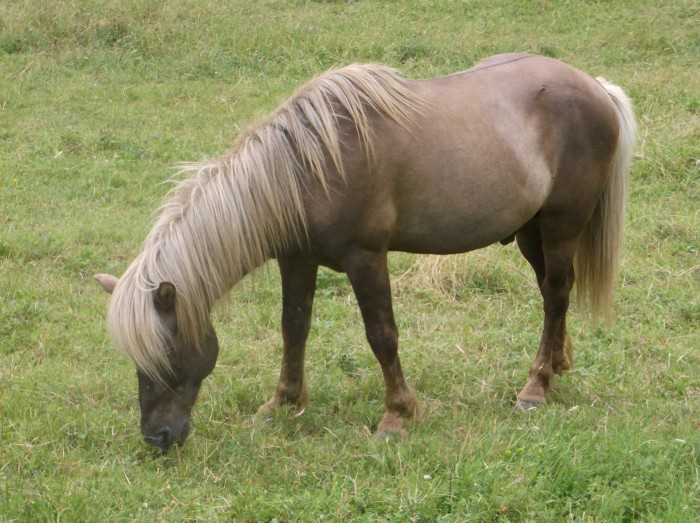 Photo de profil de milka38210cras