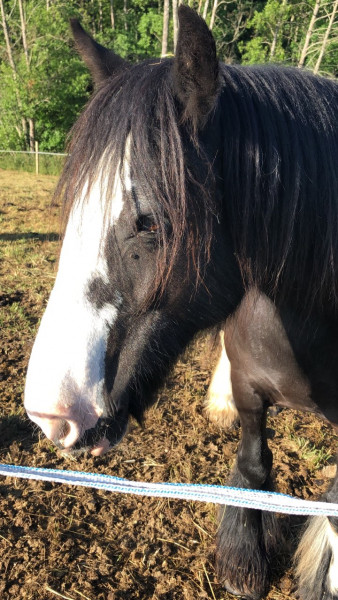 Photo de profil de milla_et_fanny