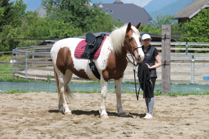 Photo de profil de milou73