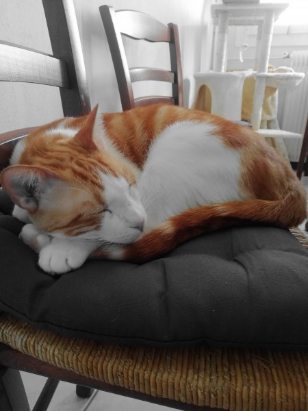 Photo de profil de milydu6300