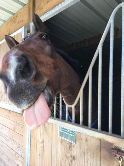 Photo de profil de mimi85