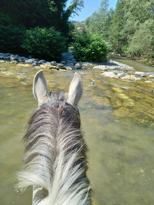 Photo de profil de mimidada